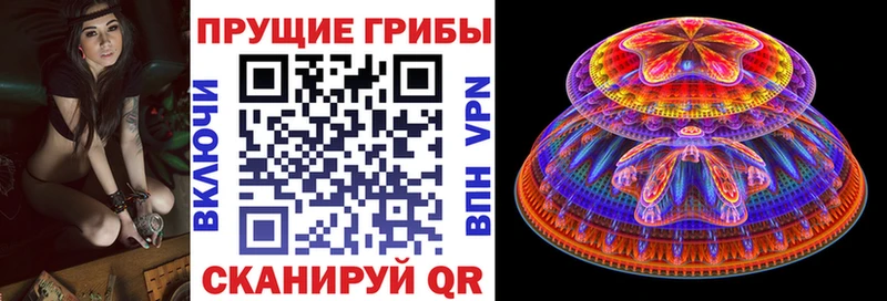 закладка  гидра зеркало  Галлюциногенные грибы Psilocybine cubensis  Липецк 