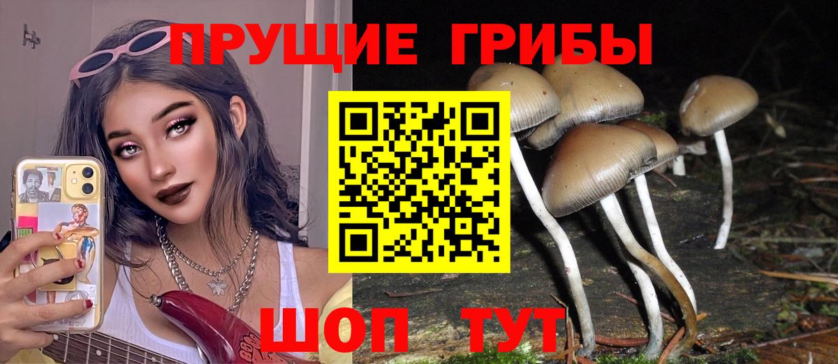 Псилоцибиновые грибы Cubensis Липецк