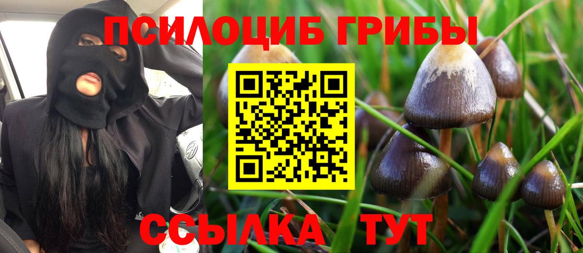 Липецк  Псилоцибиновые грибы MAGIC MUSHROOMS  Вход с VPN 